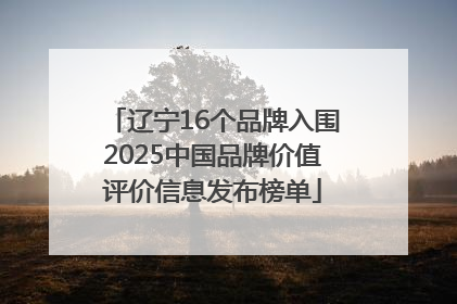 辽宁16个品牌入围2025中国品牌价值评价信息发布榜单