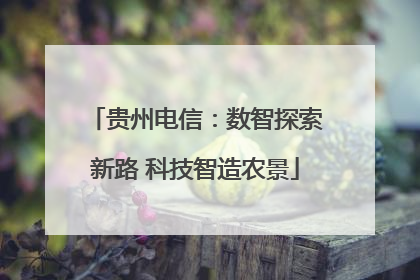 贵州电信：数智探索新路 科技智造农景