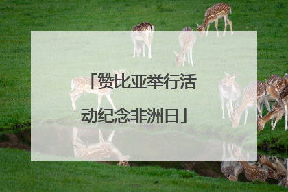 赞比亚举行活动纪念非洲日