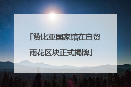 赞比亚国家馆在自贸雨花区块正式揭牌