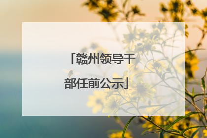 赣州领导干部任前公示