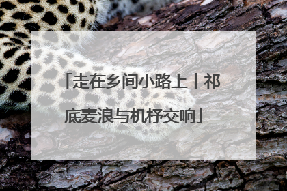 走在乡间小路上丨祁底麦浪与机杼交响