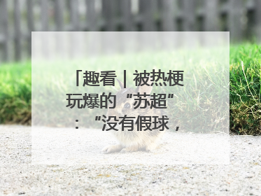 趣看｜被热梗玩爆的“苏超”：“没有假球，全是世仇”