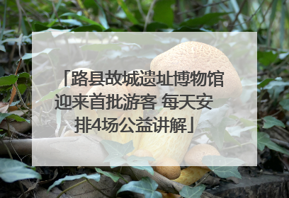 路县故城遗址博物馆迎来首批游客 每天安排4场公益讲解