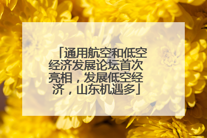 通用航空和低空经济发展论坛首次亮相，发展低空经济，山东机遇多