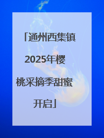 通州西集镇2025年樱桃采摘季甜蜜开启