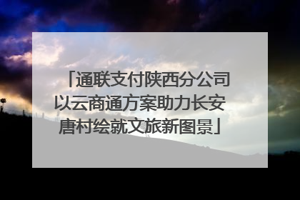 通联支付陕西分公司以云商通方案助力长安唐村绘就文旅新图景