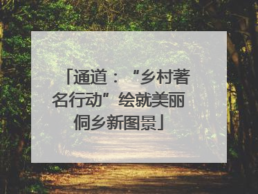 通道：“乡村著名行动”绘就美丽侗乡新图景