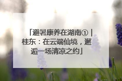 避暑康养在湖南①｜桂东：在云端仙境，邂逅一场清凉之约