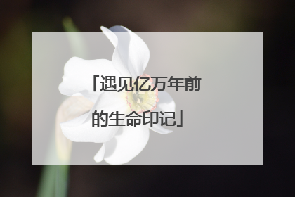 遇见亿万年前的生命印记