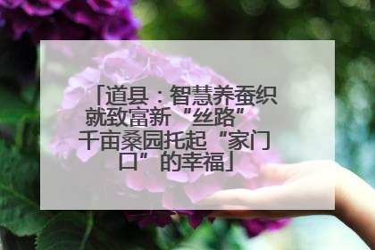 道县：智慧养蚕织就致富新“丝路” 千亩桑园托起“家门口”的幸福
