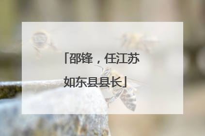 邵锋，任江苏如东县县长