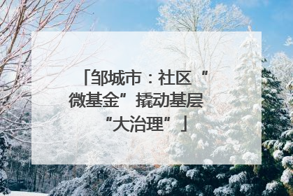 邹城市：社区“微基金”撬动基层“大治理”