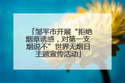 邹平市开展“拒绝烟草诱惑，对第一支烟说不”世界无烟日主题宣传活动
