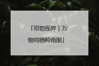 邓勃视界｜万物同栖岭南图