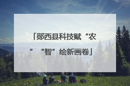 郧西县科技赋“农”“智”绘新画卷