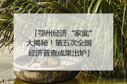 鄂州经济“家底”大揭秘！第五次全国经济普查成果出炉