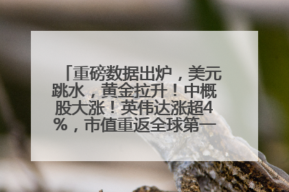重磅数据出炉，美元跳水，黄金拉升！中概股大涨！英伟达涨超4%，市值重返全球第一！黄仁勋计划出售至多600万股股票