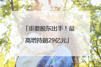 重要股东出手！最高增持超29亿元