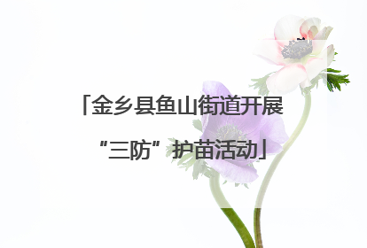金乡县鱼山街道开展“三防”护苗活动