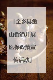 金乡县鱼山街道开展医保政策宣传活动