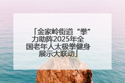 金家岭街道“拳”力助阵2025年全国老年人太极拳健身展示大联动