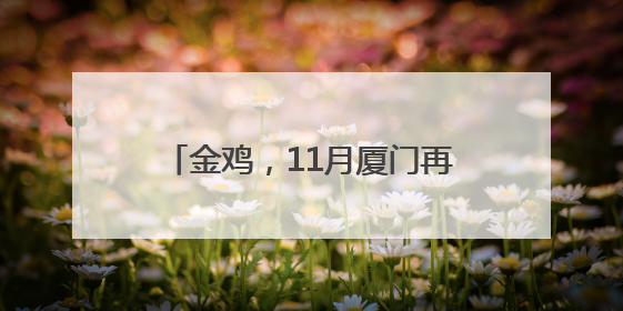 金鸡，11月厦门再相见！范丞丞、齐溪任志愿者推广大使