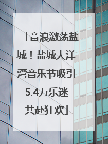 音浪激荡盐城！盐城大洋湾音乐节吸引5.4万乐迷共赴狂欢