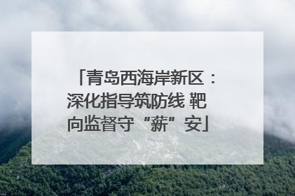 青岛西海岸新区：深化指导筑防线 靶向监督守“薪”安
