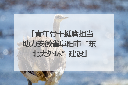 青年骨干挺膺担当 助力安徽省阜阳市“东北大外环”建设