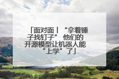 面对面丨“拿着锤子找钉子” 他们的开源模型让机器人能“上学”了