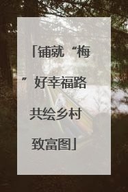 铺就“梅”好幸福路 共绘乡村致富图