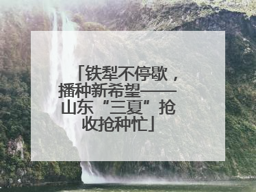 铁犁不停歇，播种新希望——山东“三夏”抢收抢种忙