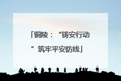 铜陵：“铸安行动”筑牢平安防线