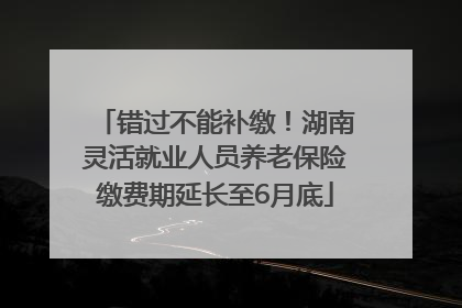 错过不能补缴！湖南灵活就业人员养老保险缴费期延长至6月底