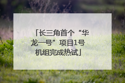 长三角首个“华龙一号”项目1号机组完成热试