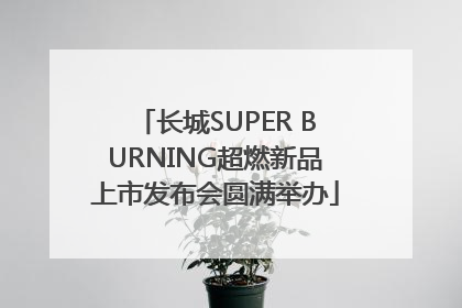 长城SUPER BURNING超燃新品上市发布会圆满举办