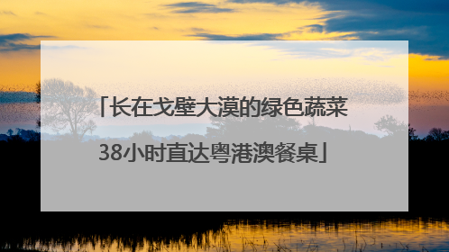 长在戈壁大漠的绿色蔬菜38小时直达粤港澳餐桌