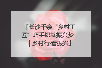 长沙千余“乡村工匠”巧手织就振兴梦｜乡村行·看振兴