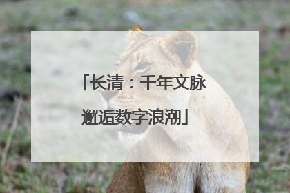 长清：千年文脉邂逅数字浪潮