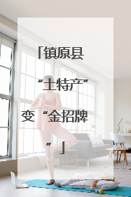镇原县 “土特产”变“金招牌”
