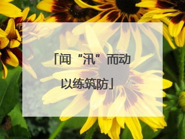 闻“汛”而动 以练筑防