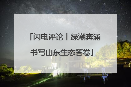 闪电评论丨绿潮奔涌 书写山东生态答卷