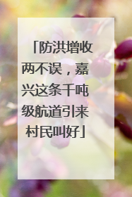 防洪增收两不误，嘉兴这条千吨级航道引来村民叫好