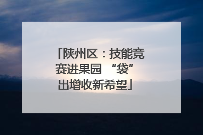 陕州区：技能竞赛进果园 “袋”出增收新希望