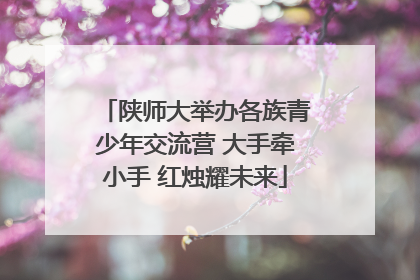 陕师大举办各族青少年交流营 大手牵小手 红烛耀未来