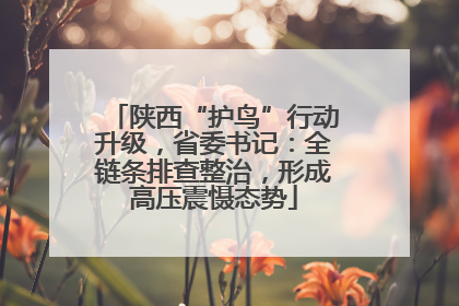 陕西“护鸟”行动升级，省委书记：全链条排查整治，形成高压震慑态势