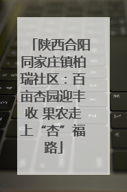 陕西合阳同家庄镇柏瑞社区：百亩杏园迎丰收 果农走上“杏”福路