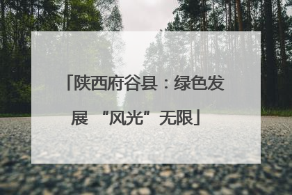 陕西府谷县：绿色发展 “风光”无限