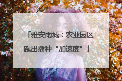 雅安雨城：农业园区跑出播种“加速度”